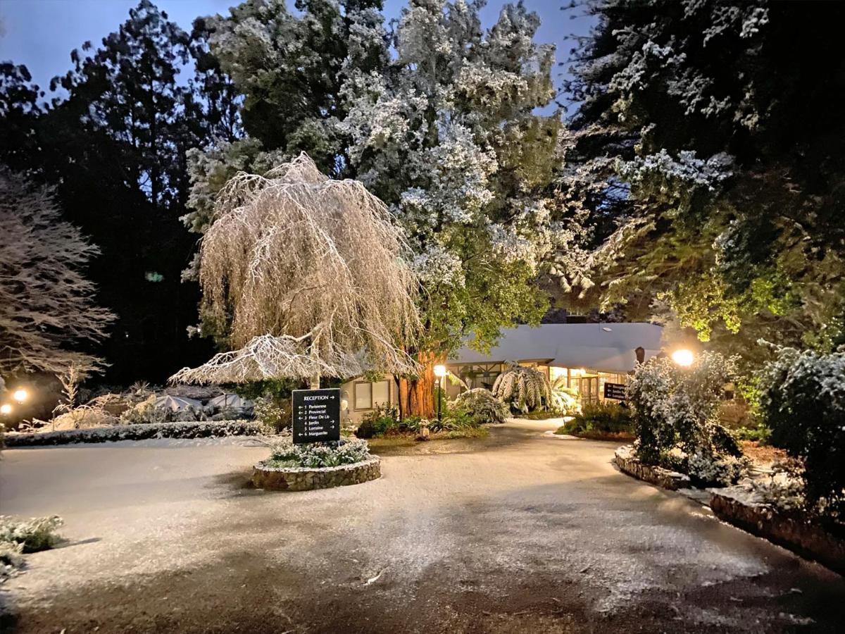 Belle Le Vie Bed & Breakfast Sassafras Eksteriør bilde