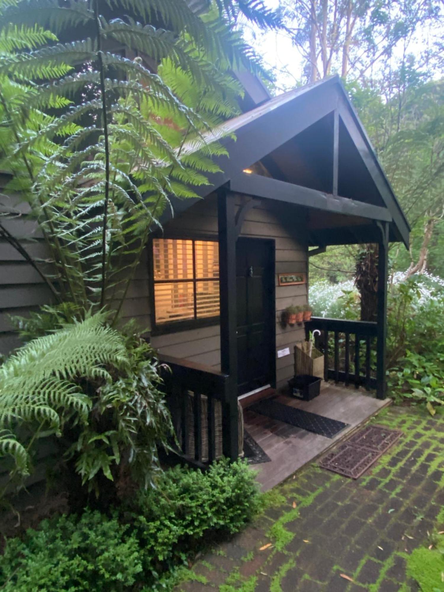 Belle Le Vie Bed & Breakfast Sassafras Eksteriør bilde