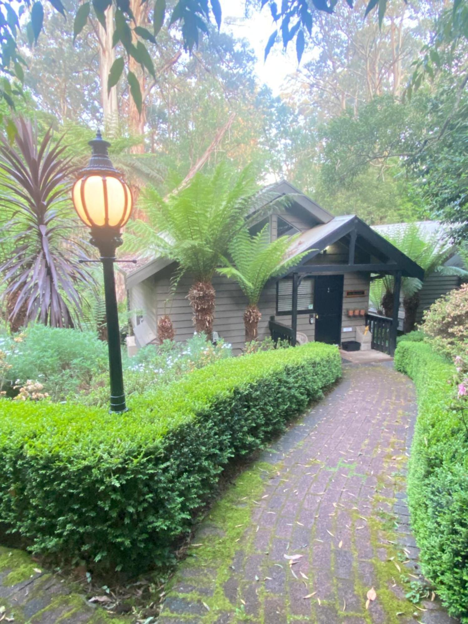 Belle Le Vie Bed & Breakfast Sassafras Eksteriør bilde