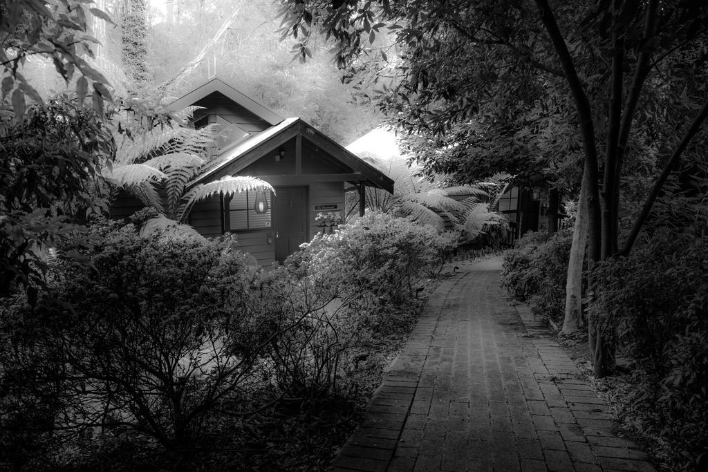 Belle Le Vie Bed & Breakfast Sassafras Eksteriør bilde